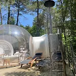 Les Bulles De Bordeaux Bed & Breakfast Salleboeuf