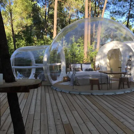 Les Bulles De Bordeaux Bed & Breakfast