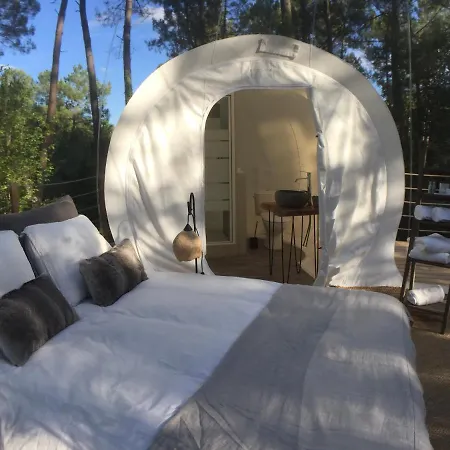 Les Bulles De Bordeaux Bed & Breakfast Salleboeuf