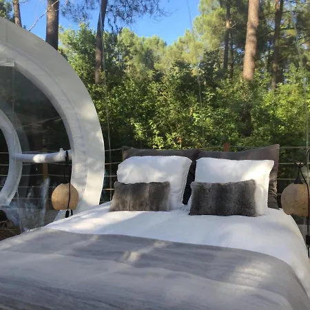 Les Bulles De Bordeaux Bed & Breakfast Salleboeuf