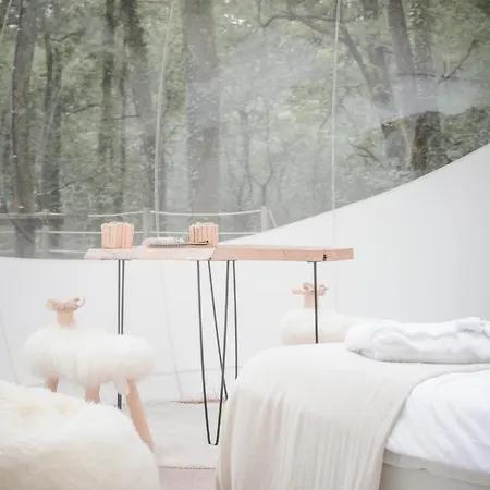 Les Bulles De Bordeaux 3*