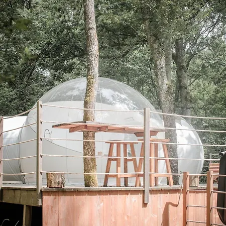 Les Bulles De Bordeaux Salleboeuf