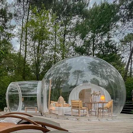 Les Bulles De Bordeaux Salleboeuf