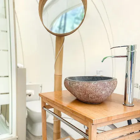 Les Bulles De Bordeaux