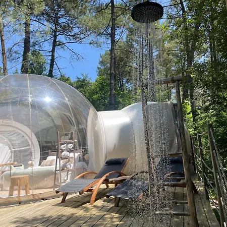 Les Bulles De Bordeaux Bed & Breakfast Salleboeuf