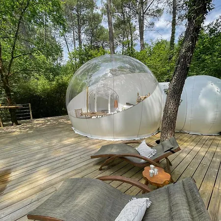 Les Bulles De Bordeaux Alojamento de Acomodação e Pequeno-almoço Salleboeuf