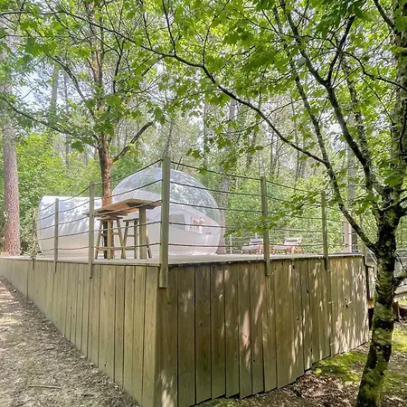 Les Bulles De Bordeaux Alojamento de Acomodação e Pequeno-almoço Salleboeuf