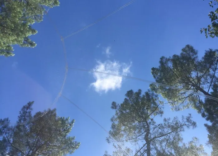 Les Bulles De Bordeaux Couette-café Salleboeuf