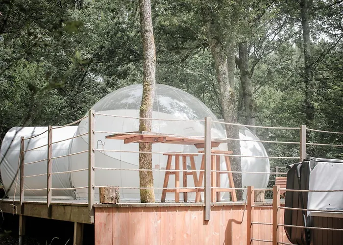 Les Bulles De Bordeaux Salleboeuf