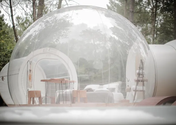 Couette-café Les Bulles De Bordeaux 3*