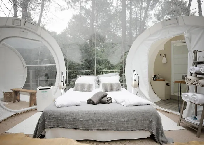 Les Bulles De Bordeaux Salleboeuf