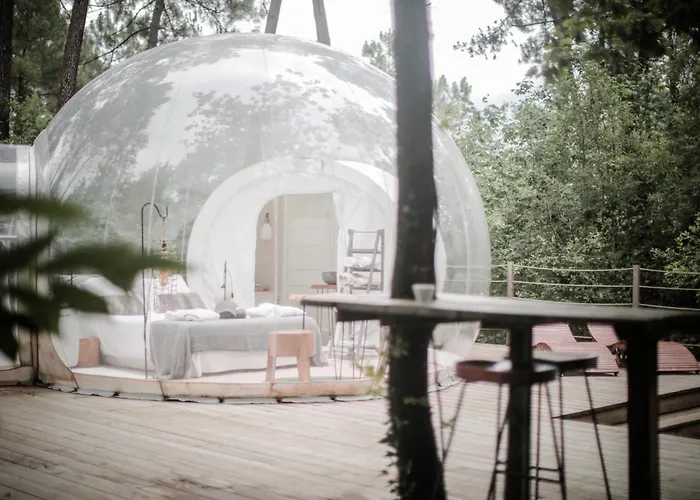 Couette-café Les Bulles De Bordeaux 3*