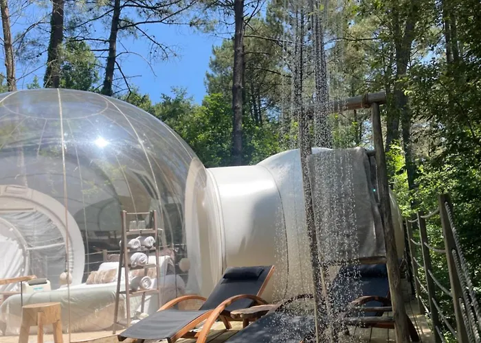 Les Bulles De Bordeaux Couette-café Salleboeuf