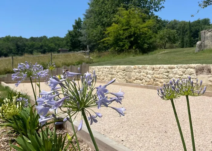 Les Bulles De Bordeaux Отель типа 