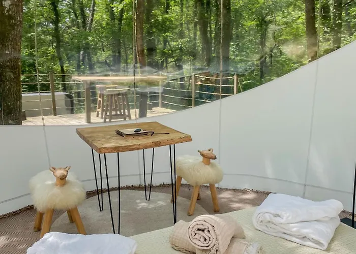 Couette-café Les Bulles De Bordeaux Salleboeuf