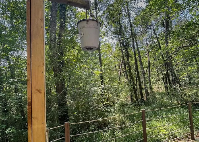 Les Bulles De Bordeaux Salleboeuf